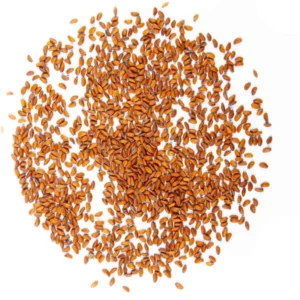 Kresse microgreen samen