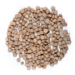 Linsen Rote Microgreens Samen