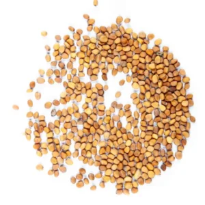 Radieschen-Microgreens Samen (Rosen, Pink)