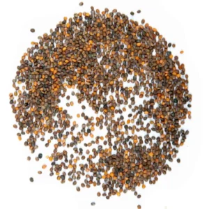 Rucola microgreens samen