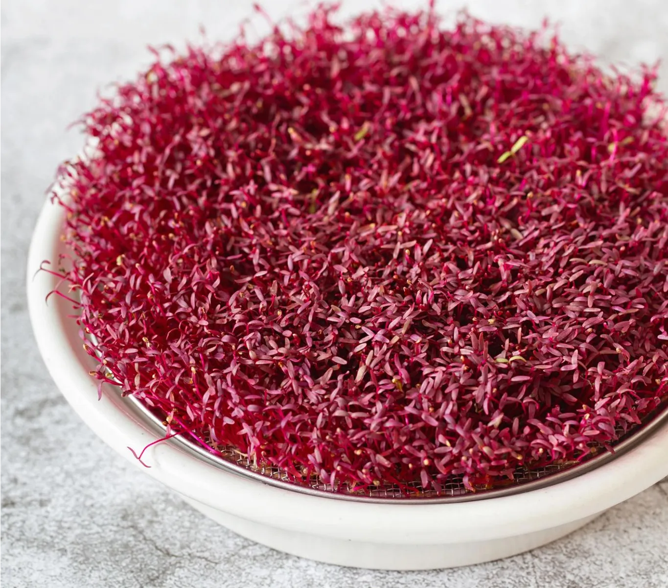 Amaranth microgreens